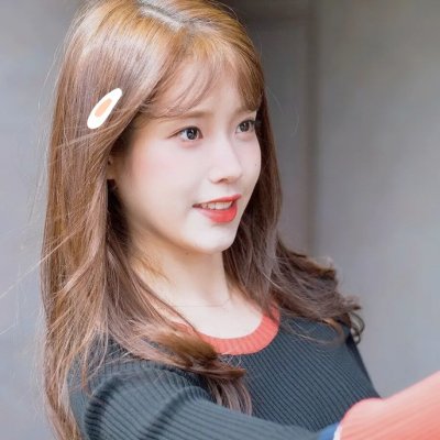 精灵宝可梦：波尔凯尼恩与机巧的玛机雅娜